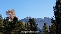 wbgarden alps 145